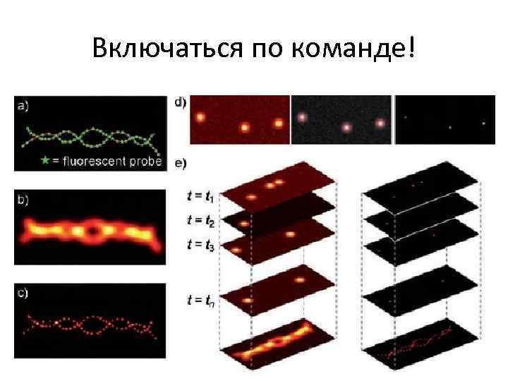 Включаться по команде! 