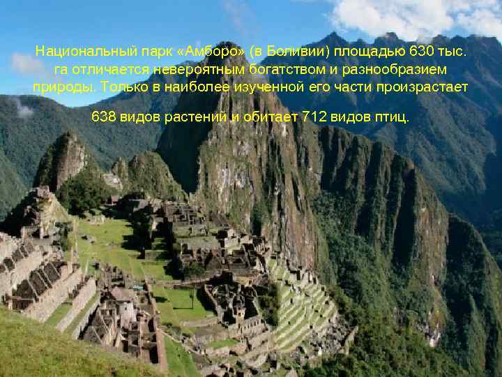  Национальный парк «Амборо» (в Боливии) площадью 630 тыс. га отличается невероятным богатством и