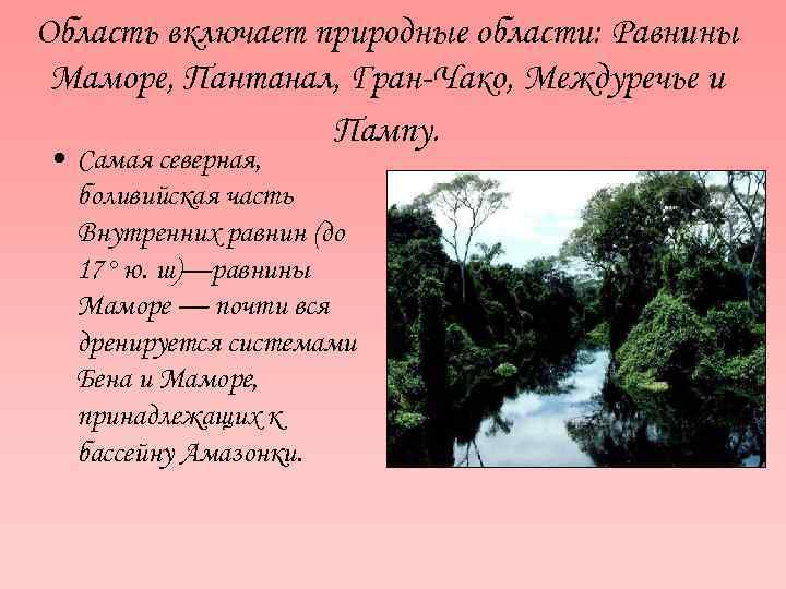 Область включает природные области: Равнины Маморе, Пантанал, Гран-Чако, Междуречье и Пампу. • Самая северная,