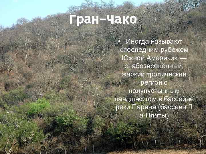 Гран-Чако • Иногда называют «последним рубежом Южной Америки» — слабозаселённый, жаркий тропический регион с