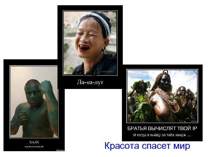 Красота спасет мир 