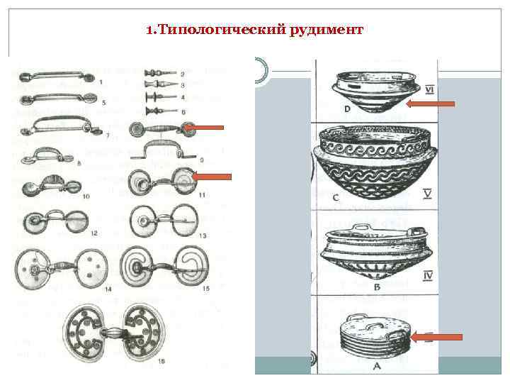 1. Типологический рудимент 