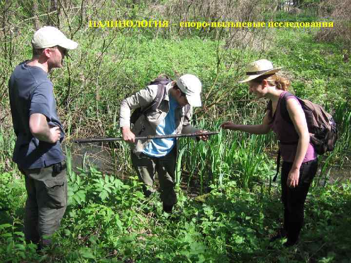 ПАЛИНОЛОГИЯ – споро-пыльцевые исследования 