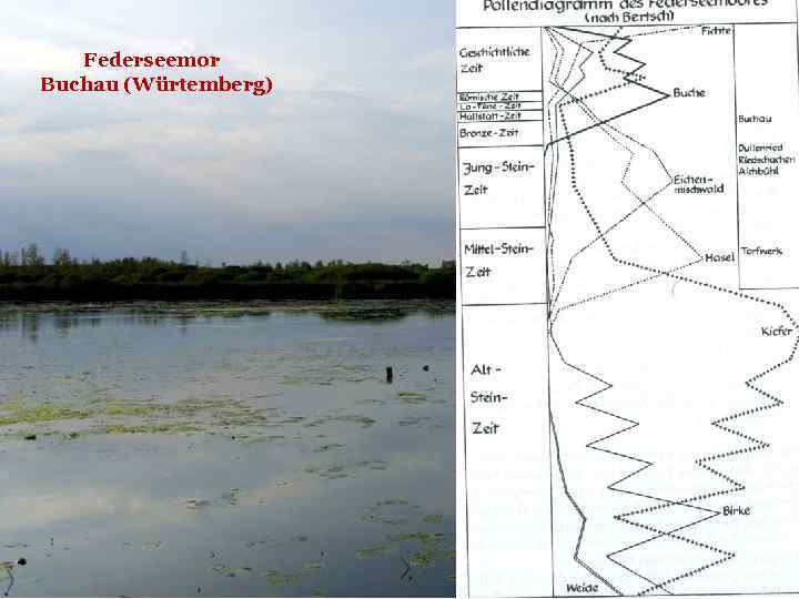 Federseemor Buchau (Würtemberg) 