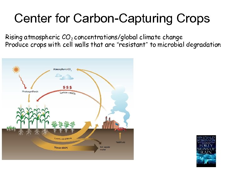 Center for Carbon-Capturing Crops Rising atmospheric CO 2 concentrations/global climate change Produce crops with