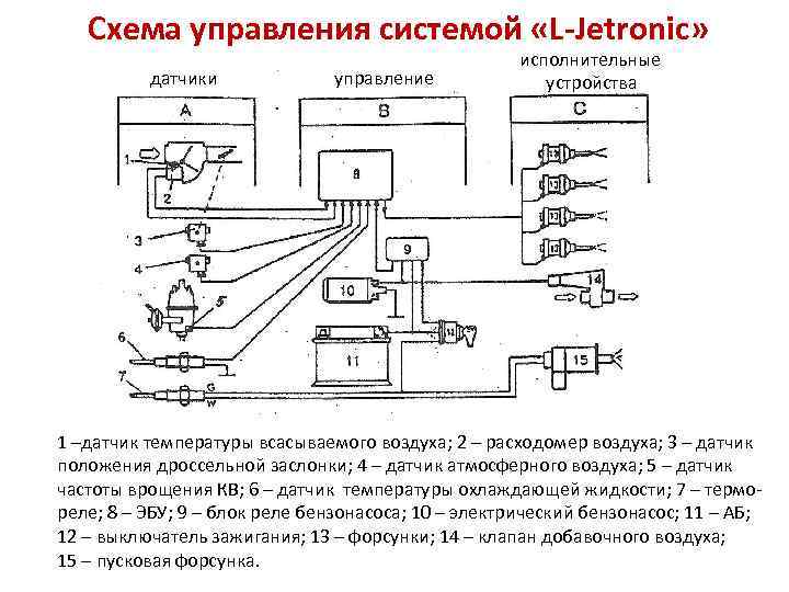 Схема управления системой «L-Jetronic» датчики управление исполнительные устройства 1 –датчик температуры всасываемого воздуха; 2