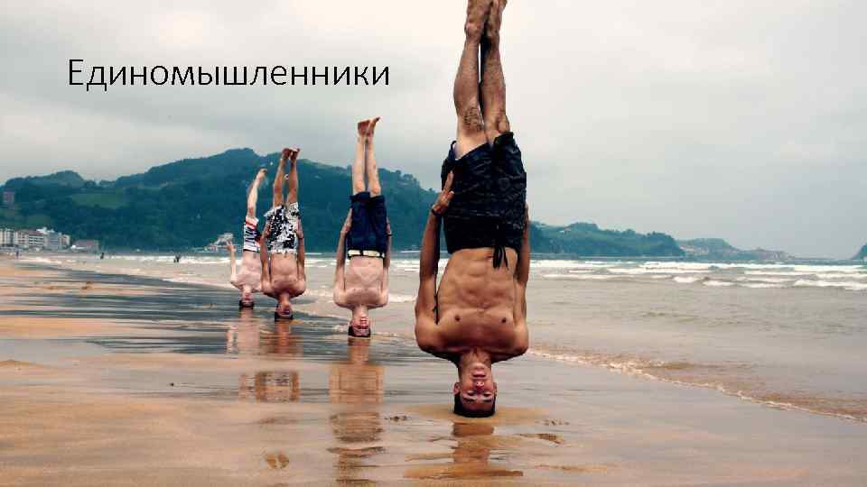 Единомышленники 