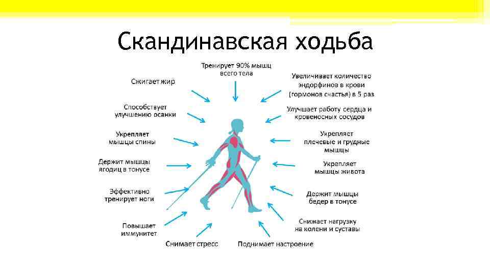 Скандинавская ходьба 