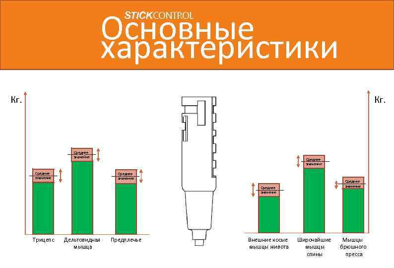 Основные характеристики STICKCONTROL Кг. Среднее значение Среднее значение Трицепс Дельтовидная мышца Предплечье Внешние косые