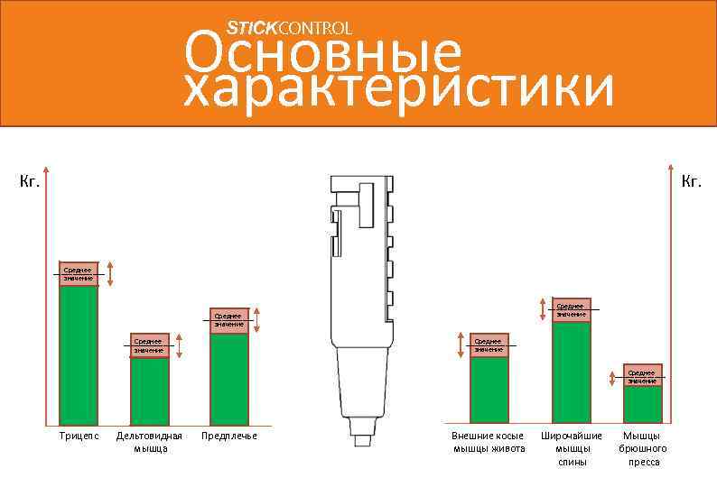 Основные характеристики STICKCONTROL Кг. Среднее значение Среднее значение Трицепс Дельтовидная мышца Предплечье Внешние косые