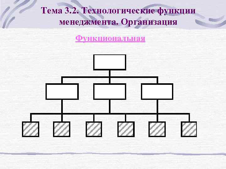 Тема 3. 2. Технологические функции менеджмента. Организация Функциональная 