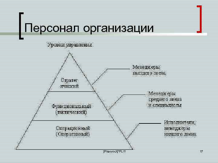 Персонал организации [Pharynx. X]*FLY! 17 