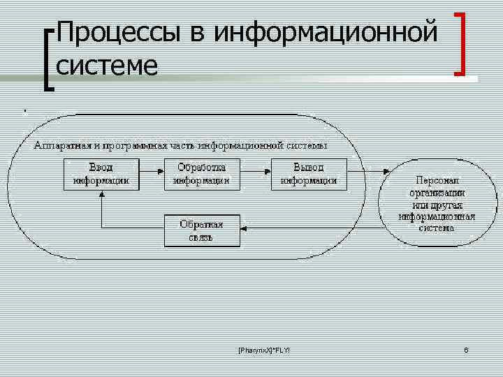 Процессы в информационной системе [Pharynx. X]*FLY! 6 