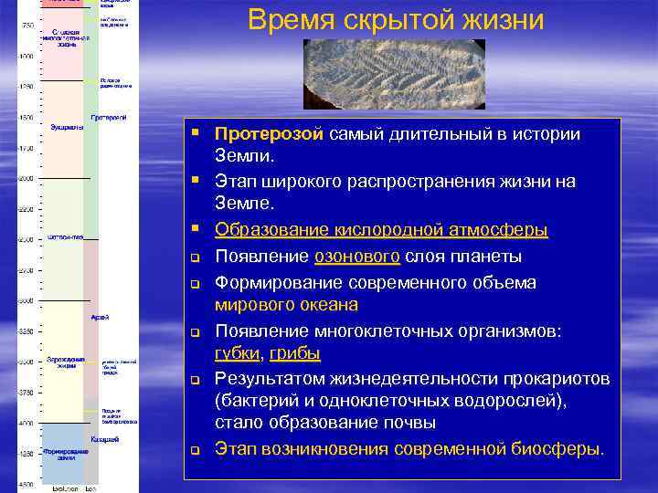 Время скрытой жизни § Протерозой самый длительный в истории § § q q q