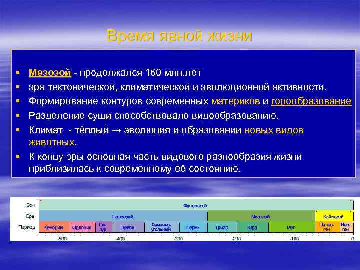 Время явной жизни § § § Мезозой - продолжался 160 млн. лет эра тектонической,