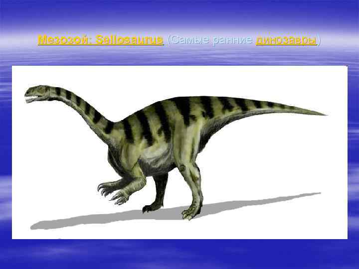  Мезозой: Sellosaurus (Самые ранние динозавры) 