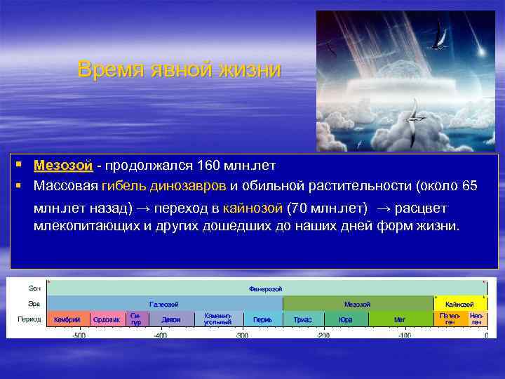 Время явной жизни § Мезозой - продолжался 160 млн. лет § Массовая гибель динозавров