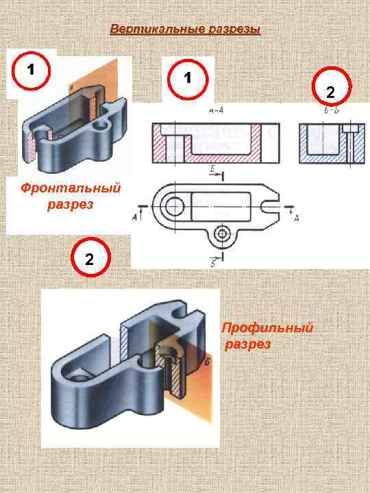 Вертикальные разрезы 2 Фронтальный разрез 2 Профильный разрез 