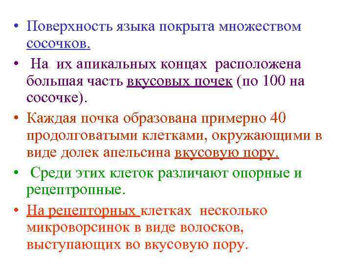  • Поверхность языка покрыта множеством сосочков. • На их апикальных концах расположена большая