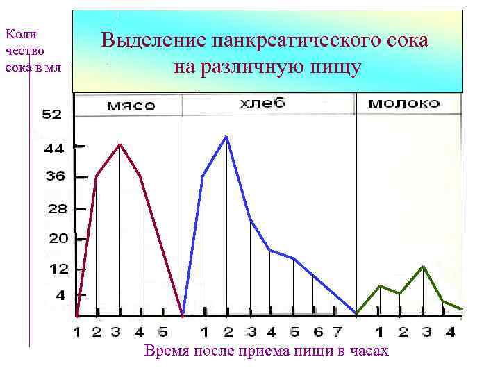 Коли чество сока в мл Выделение панкреатического сока на различную пищу Время после приема