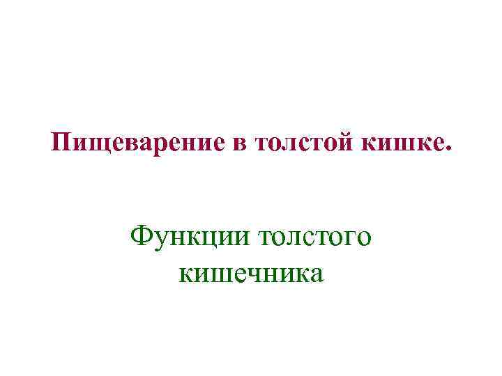 Пищеварение в толстой кишке. Функции толстого кишечника 