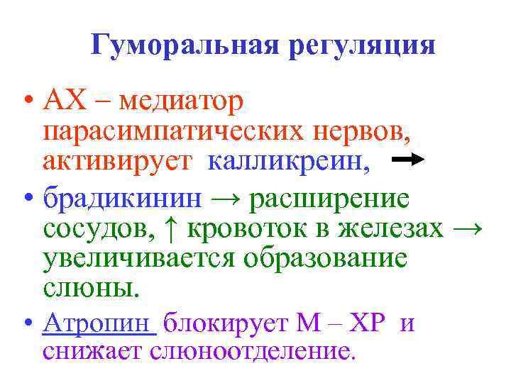 Гуморальная регуляция • АХ – медиатор парасимпатических нервов, активирует калликреин, • брадикинин → расширение