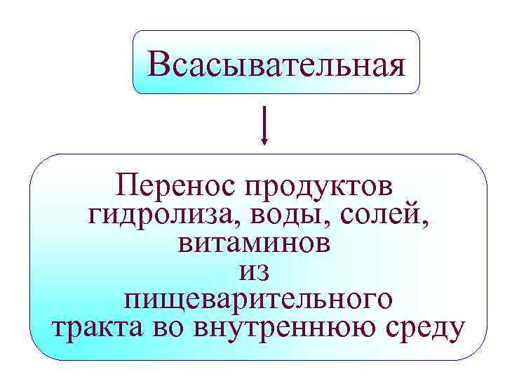 Всасывательная Перенос продуктов гидролиза, воды, солей, витаминов из пищеварительного тракта во внутреннюю среду 