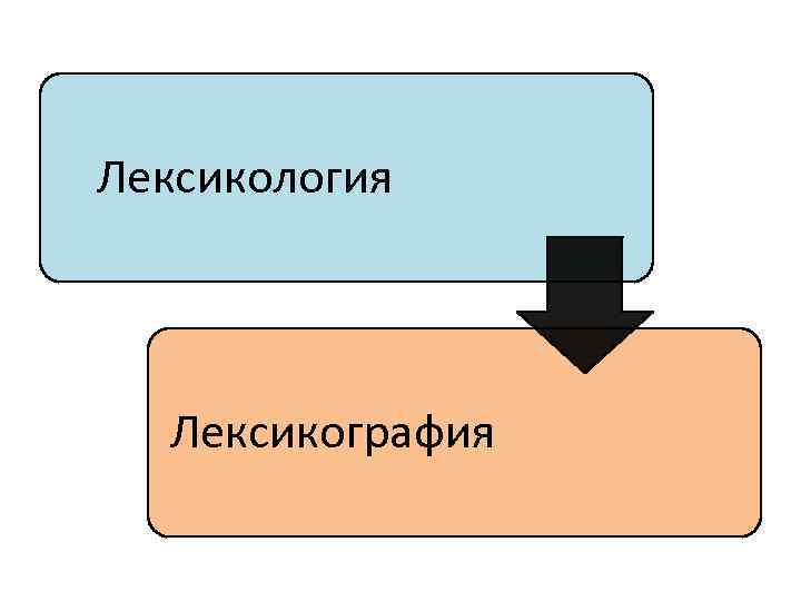 Лексикология и лексикография