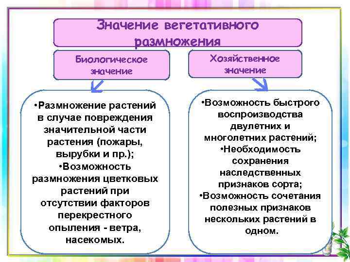 Значение вегетативного размножения Биологическое значение • Размножение растений в случае повреждения значительной части растения