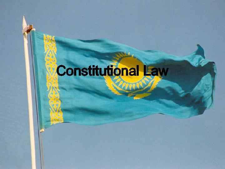 Constitutional Law 