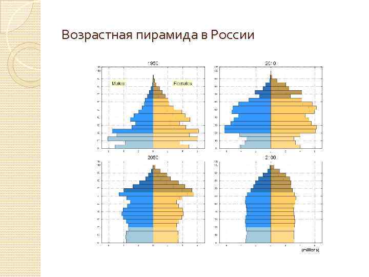 Половозрастная пирамида 2021 года. Половозрастная диаграмма 2023.