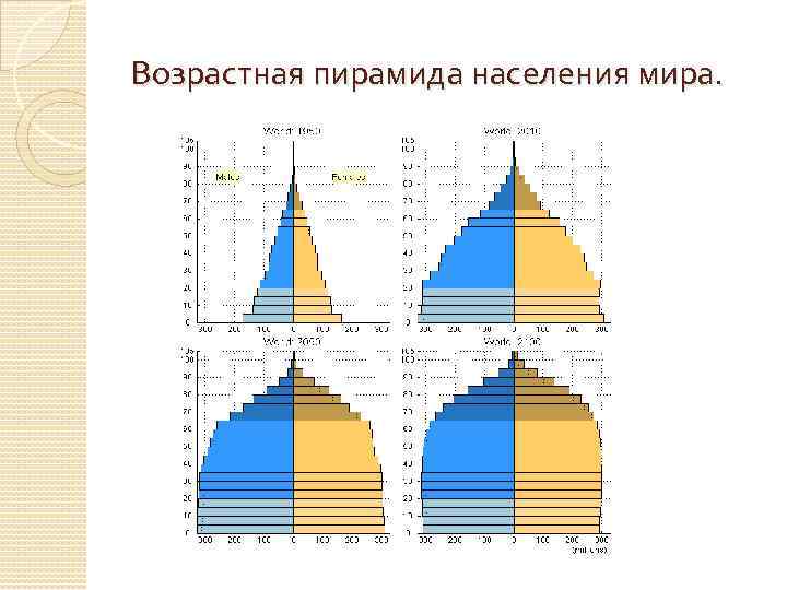 Возрастная пирамида населения мира. 