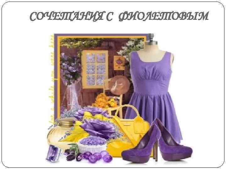 СОЧЕТАНИЯ С ФИОЛЕТОВЫМ 