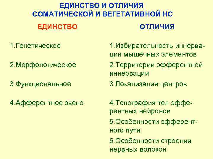 ЕДИНСТВО И ОТЛИЧИЯ СОМАТИЧЕСКОЙ И ВЕГЕТАТИВНОЙ НС ЕДИНСТВО ОТЛИЧИЯ 1. Генетическое 1. Избирательность иннерва