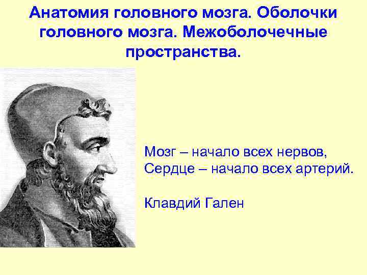 Анатомия головного мозга. Оболочки головного мозга. Межоболочечные пространства. Мозг – начало всех нервов, Сердце