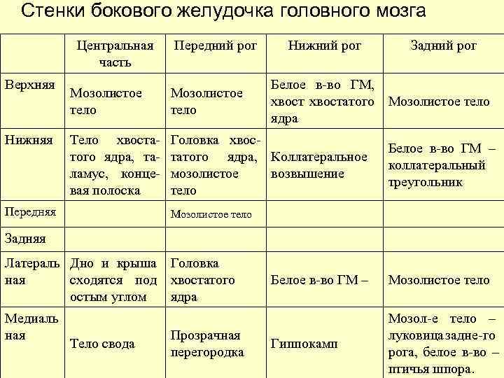 Стенки бокового желудочка головного мозга Центральная часть Верхняя Нижняя Передний рог Нижний рог Белое