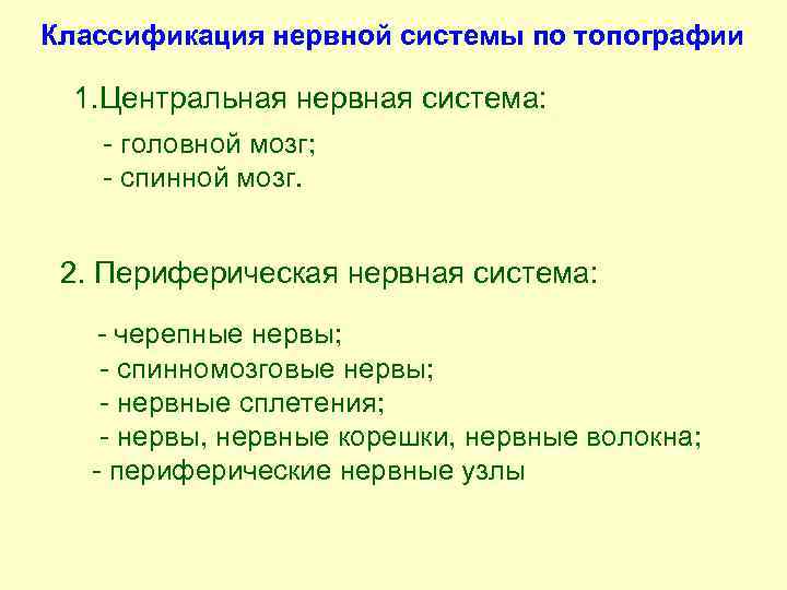 Классификация нервной системы по топографии 1. Центральная нервная система: головной мозг; спинной мозг. 2.