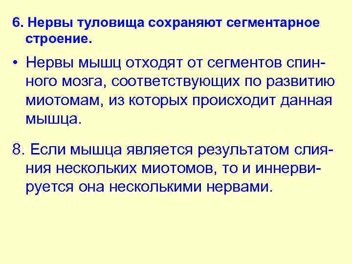 6. Нервы туловища сохраняют сегментарное строение. • Нервы мышц отходят от сегментов спин ного