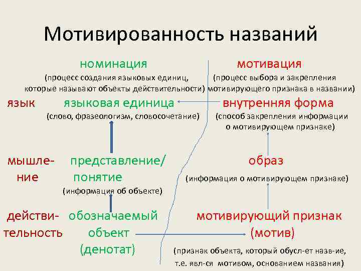 Языковое построение текста