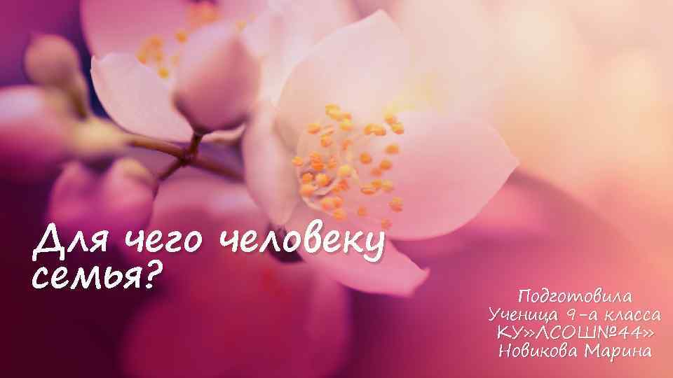 Для чего человеку семья? Подготовила Ученица 9 -а класса КУ» ЛСОШ№ 44» Новикова Марина