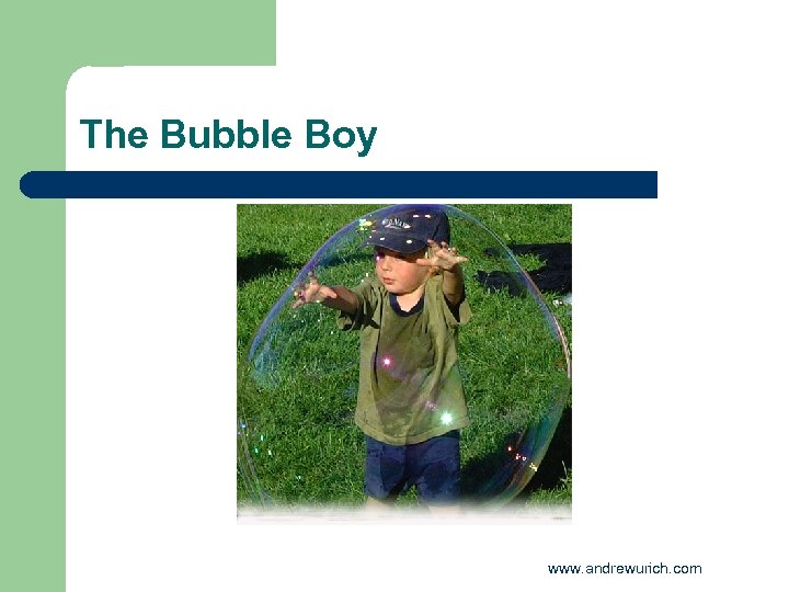 The Bubble Boy www. andrewurich. com 