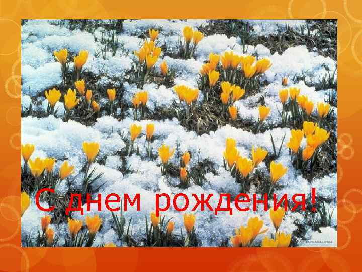 С днем рождения! 