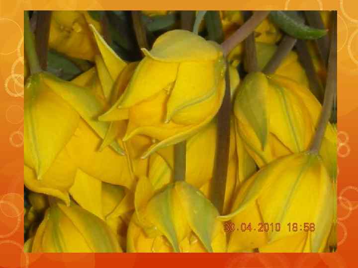 Очень-очень любя! 