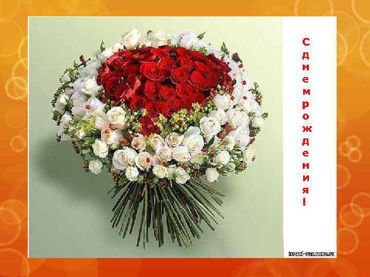 С д н е м р о ж д е н и я !