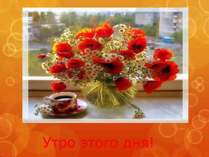 Утро этого дня! 