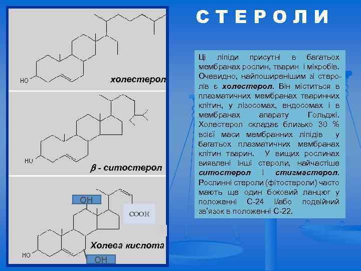 СТЕРОЛИ холестерол - ситостерол ОН СООН Холева кислота ОН Ці ліпіди присутні в багатьох