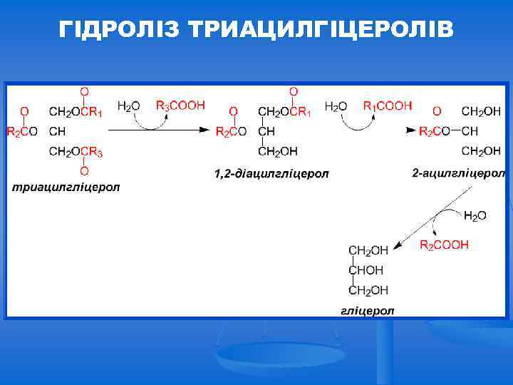 ГІДРОЛІЗ ТРИАЦИЛГІЦЕРОЛІВ 