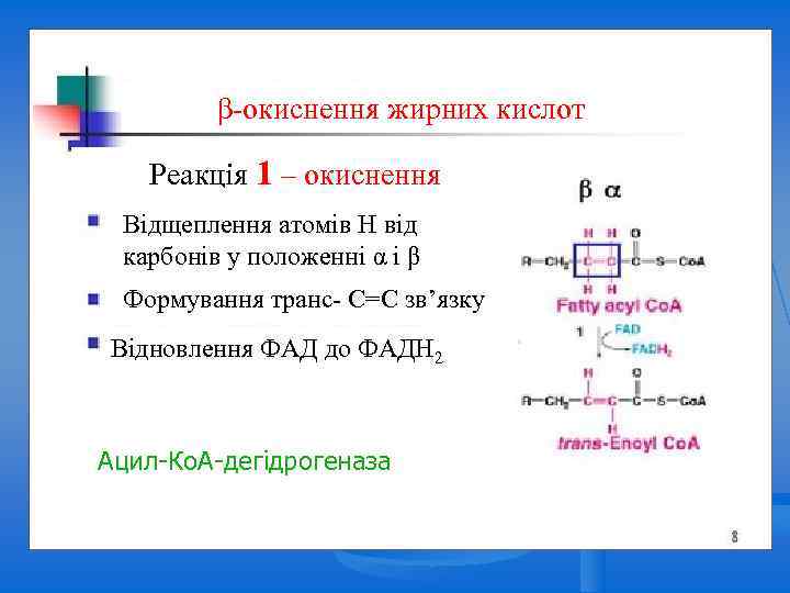 Beta Oxidation β-окиснення жирних кислот Реакція 1 – окиснення Відщеплення атомів Н від карбонів