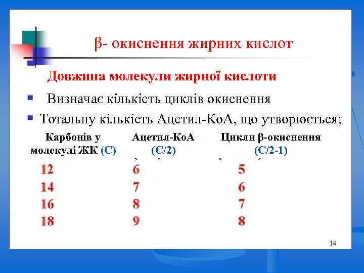 Beta Oxidation β- окиснення жирних кислот Довжина молекули жирної кислоти Визначає кількість циклів окиснення
