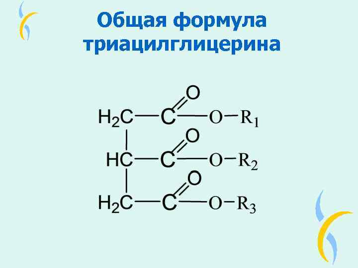 Схема образования триацилглицерина - 97 фото